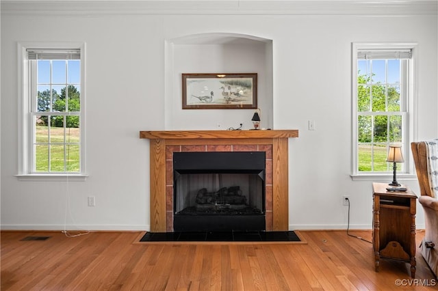 living area featuring wood finished floors, a healthy amount of sunlight, crown molding, baseboards, and a fireplace