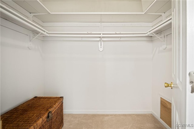 spacious closet featuring light colored carpet