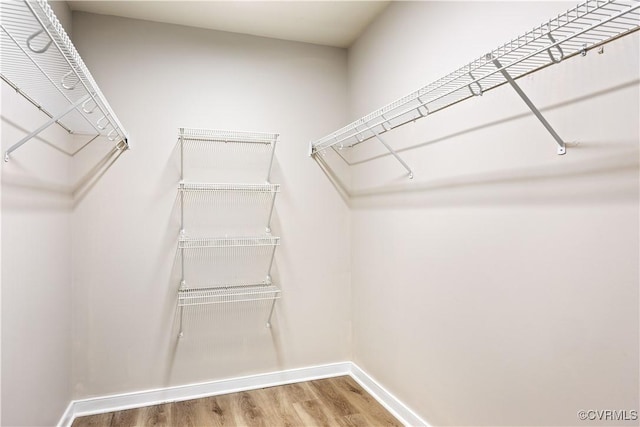 3012 Appleford Dr, Chester, VA 23831 - walk in closet with wood finished floors