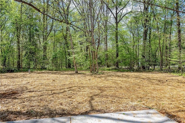 view of local wilderness with a view of trees