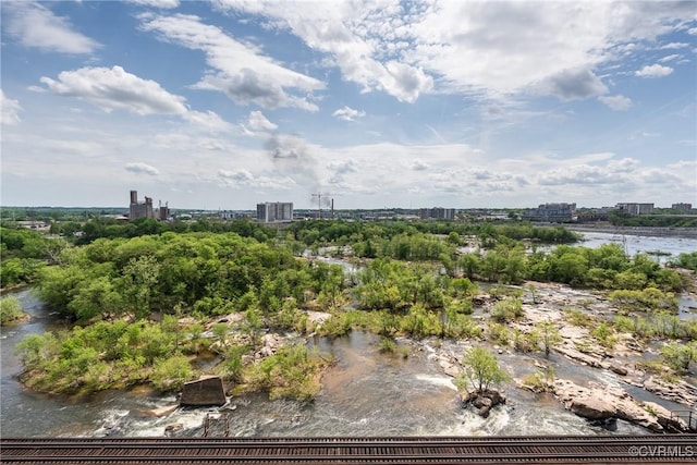1101 Haxall Pt Unit U810, Richmond, VA 23219 - view of urban area
