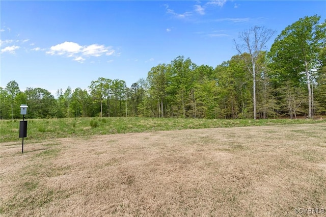 8106 W Danube Loop, New Kent, VA 23124 - view of yard featuring a wooded view
