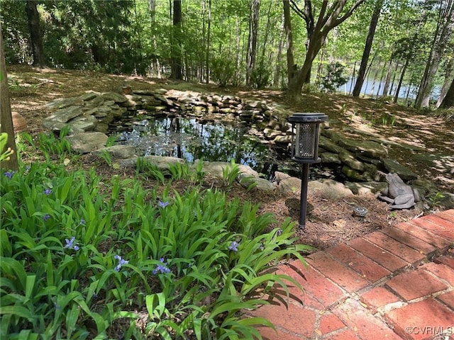 328 Perrow Ln, Manakin Sabot, VA 23103 - view of yard
