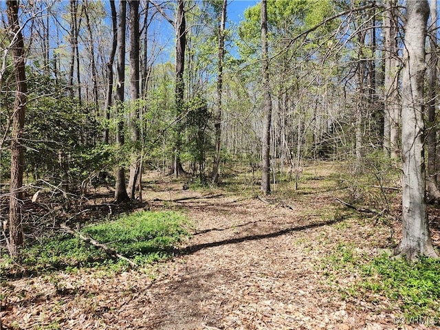 LOT15B Bent Creek Ln, Bumpass, VA 23024