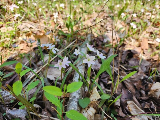 LOT15B Bent Creek Ln, Bumpass, VA 23024