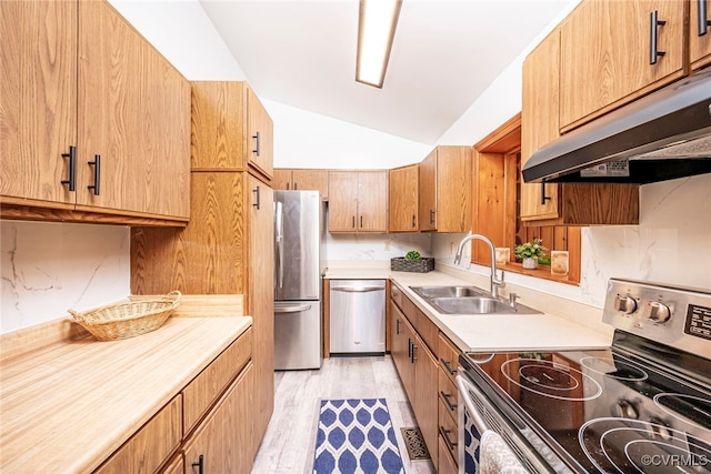 6631 Rural Point Rd, Mechanicsville, VA 23116 - kitchen with appliances with stainless steel finishes, under cabinet range hood, a sink, vaulted ceiling, and light countertops