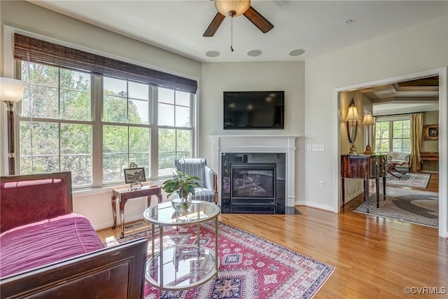 3801 Duckling Walk, Glen Allen, VA 23060 - living area with a fireplace with flush hearth, a ceiling fan, wood finished floors, and baseboards