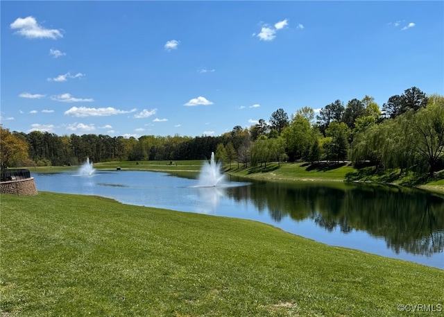 3801 Duckling Walk, Glen Allen, VA 23060 - water view with a forest