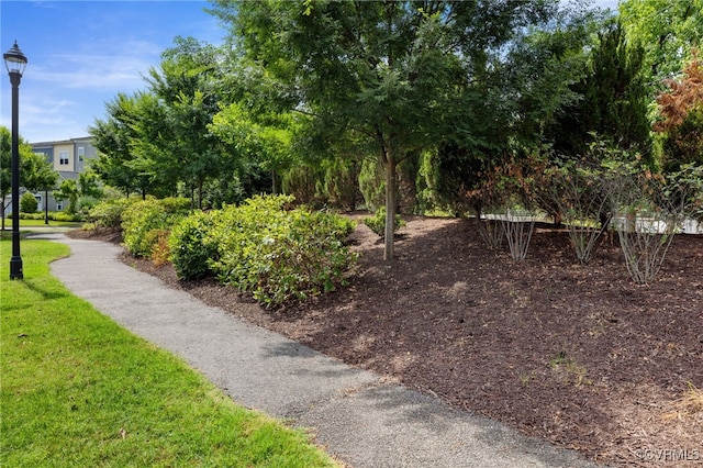 2248 Libbie Lake W Street A, Henrico, VA 23230 - view of home's community featuring a lawn