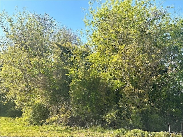 911 Lee Ave, Petersburg VA, 23803 land for sale