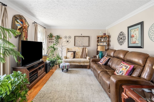 5509 Copperpenny Rd, Chesterfield, VA 23832 - photo 6