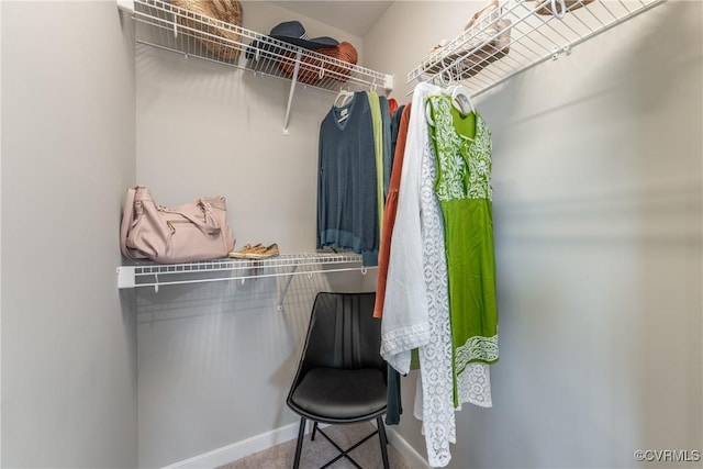 view of spacious closet