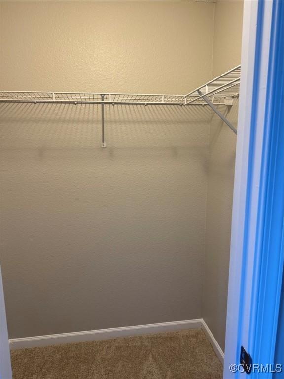 spacious closet featuring carpet
