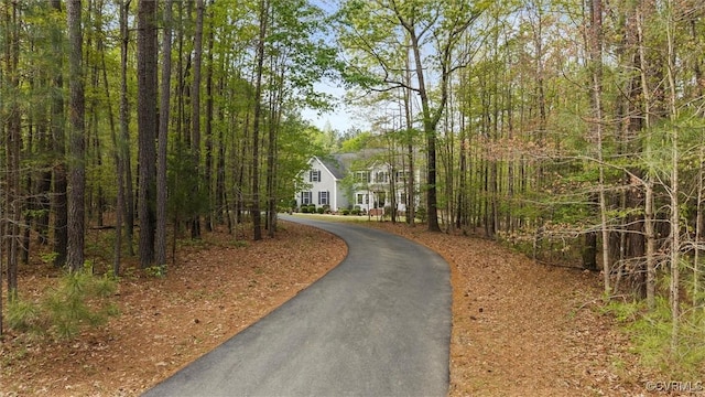 view of community with aphalt driveway