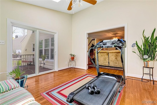 workout room featuring a ceiling fan and wood finished floors