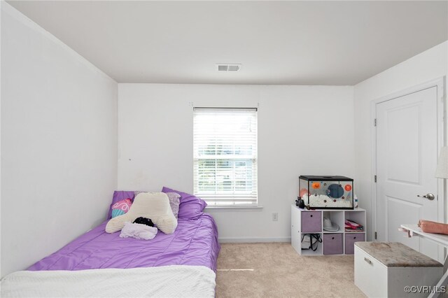 7422 Smoothbore Ln, Mechanicsville, VA 23116 - photo 35