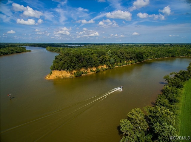 bird's eye view of a forest and a large body of water