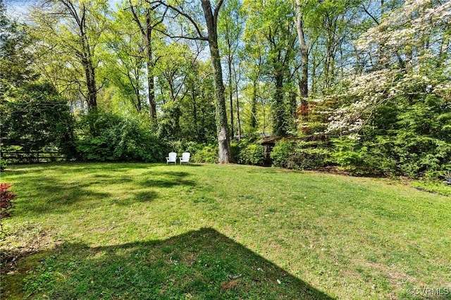 view of yard