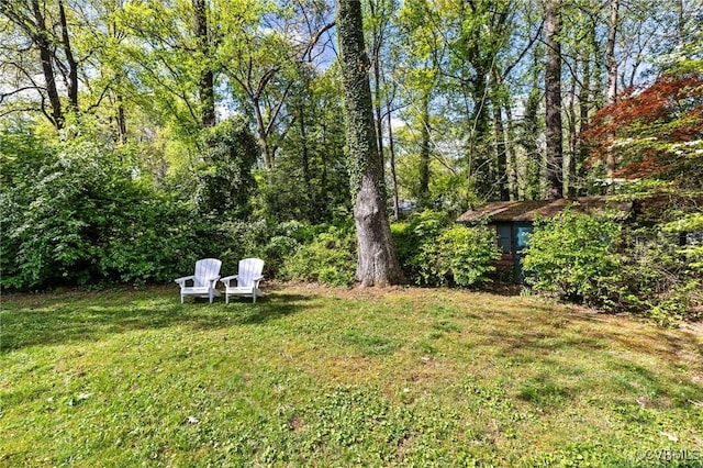 view of yard