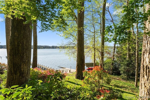 view of water feature