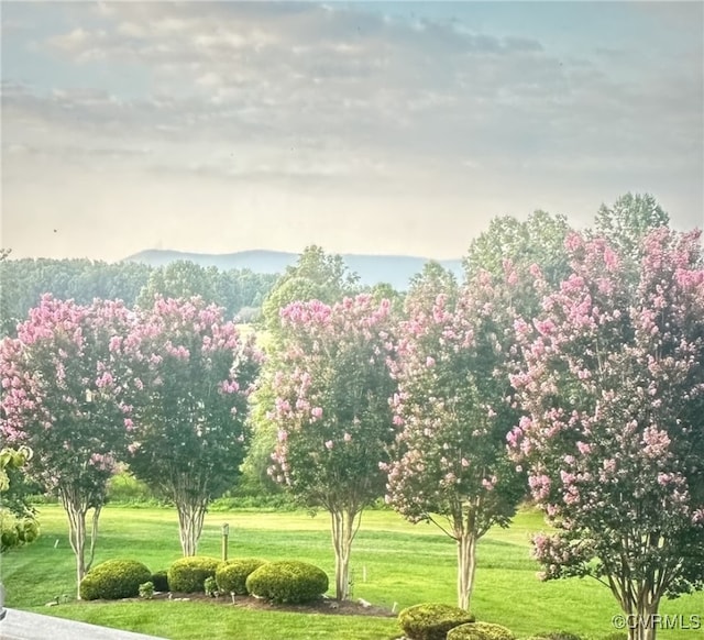 surrounding community featuring a lawn