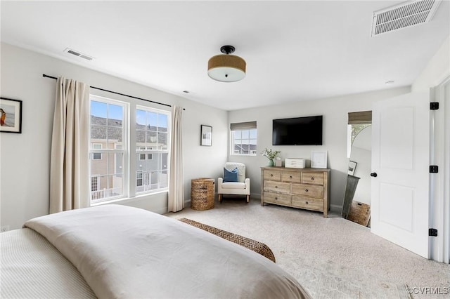 6812 Leire Ln, Chesterfield, VA 23832 - view of carpeted bedroom