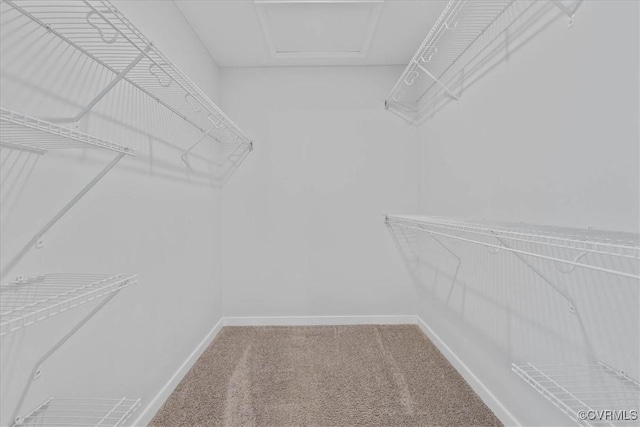 spacious closet with carpet and attic access