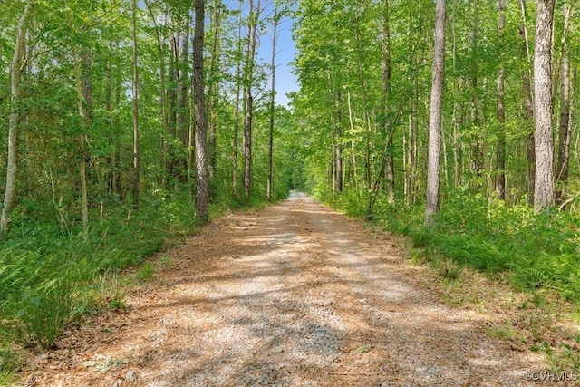 view of road with a forest view
