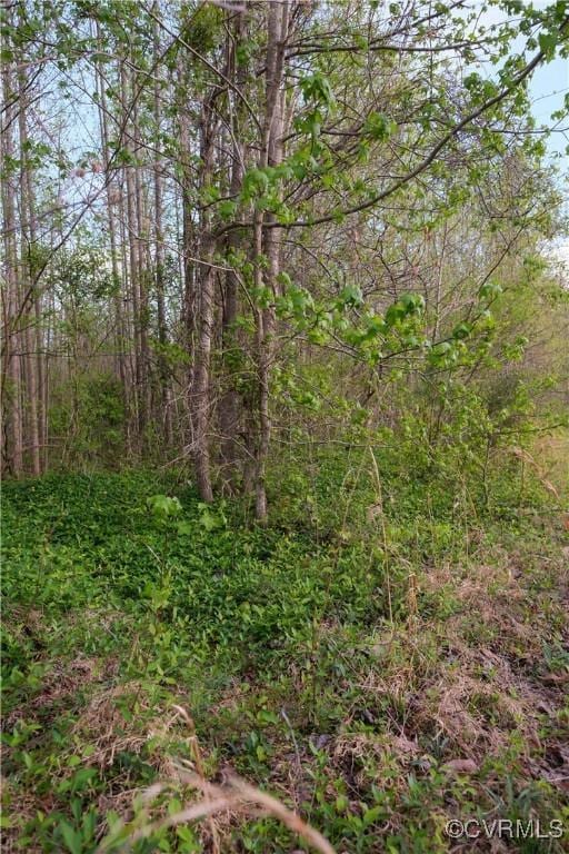 00 Poorhouse Rd, Farmville, VA 23966