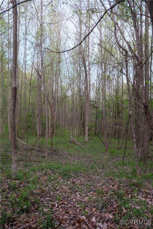 00 Poorhouse Rd, Farmville, VA 23966