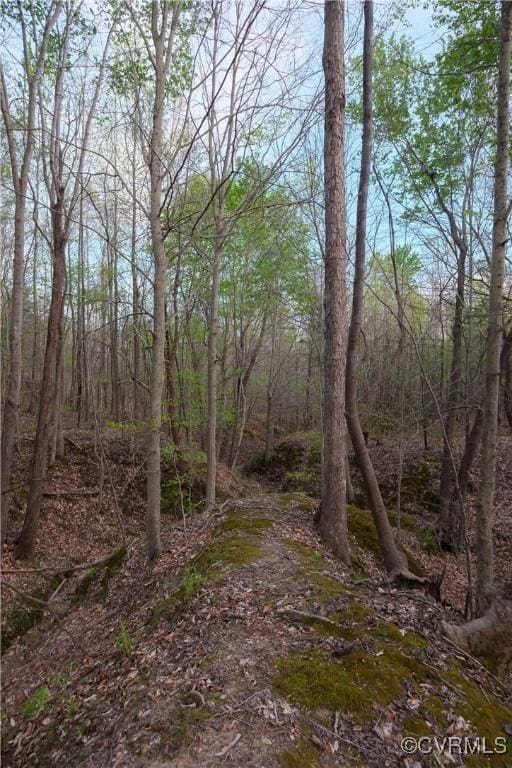 00 Poorhouse Rd, Farmville, VA 23966