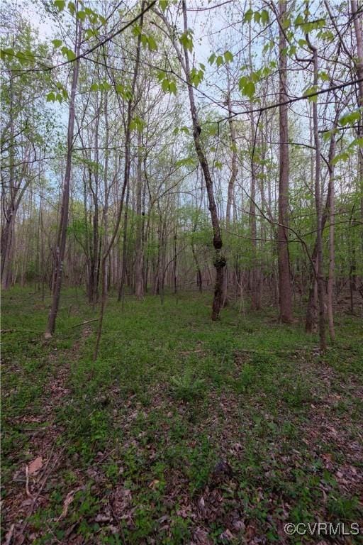 00 Poorhouse Rd, Farmville, VA 23966