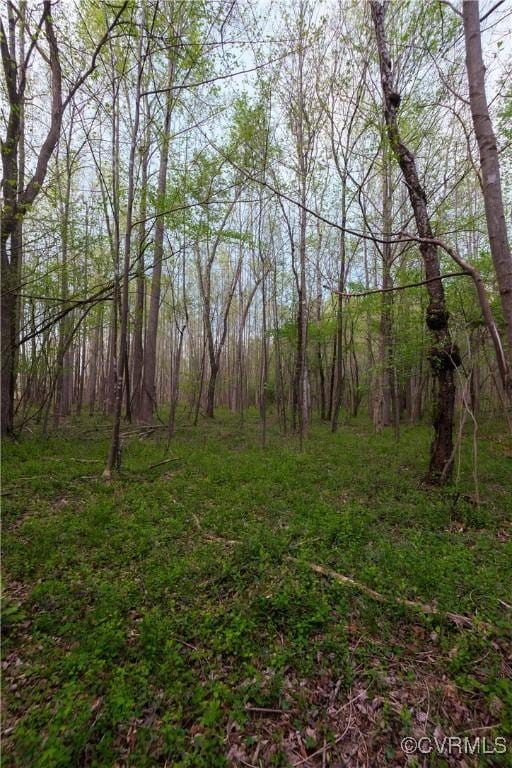 00 Poorhouse Rd, Farmville, VA 23966