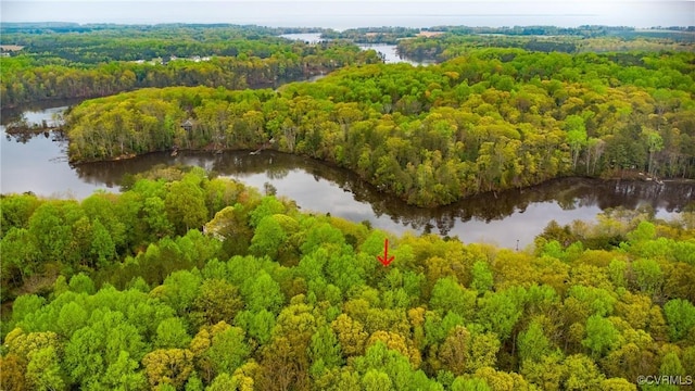 bird's eye view with a view of trees and a water view