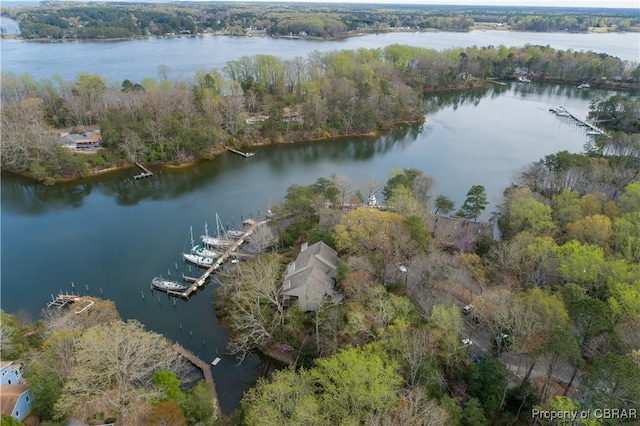 aerial view with a water view