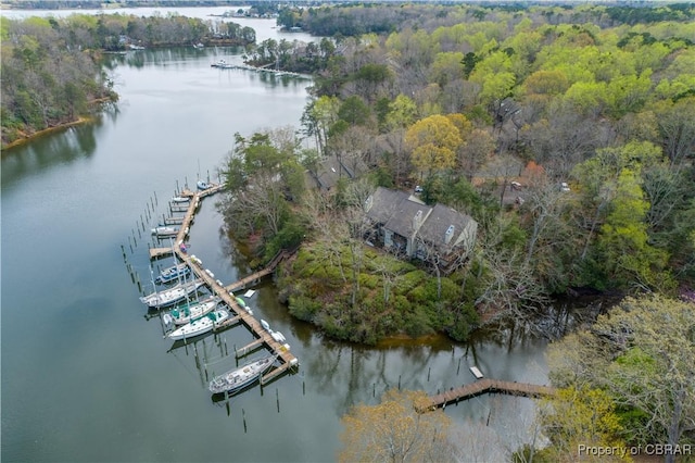 birds eye view of property with a view of trees and a water view