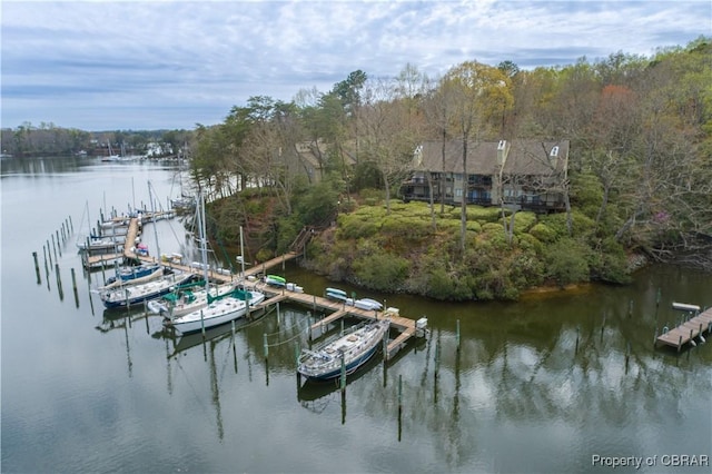 dock area featuring a water view