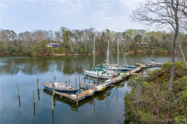 view of dock featuring a view of trees and a water view