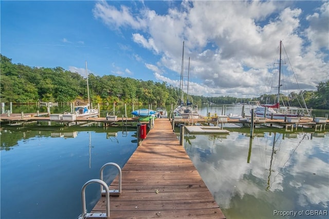 dock area with a water view