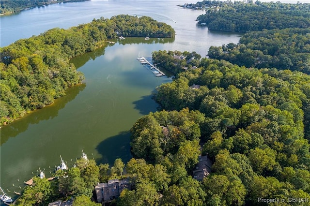 bird's eye view with a forest view and a water view