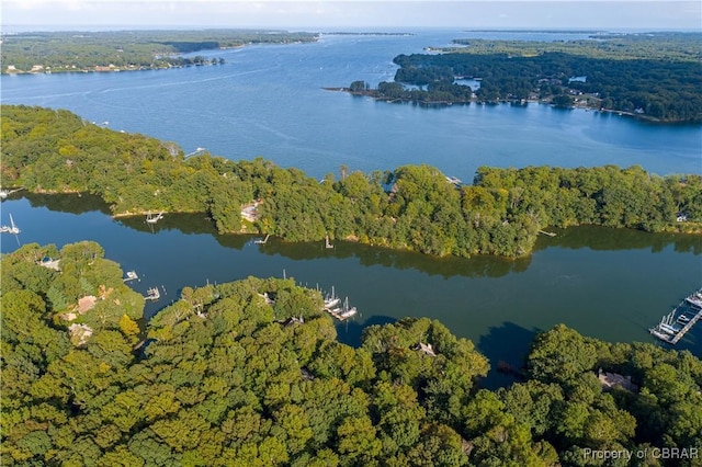 drone / aerial view featuring a wooded view and a water view