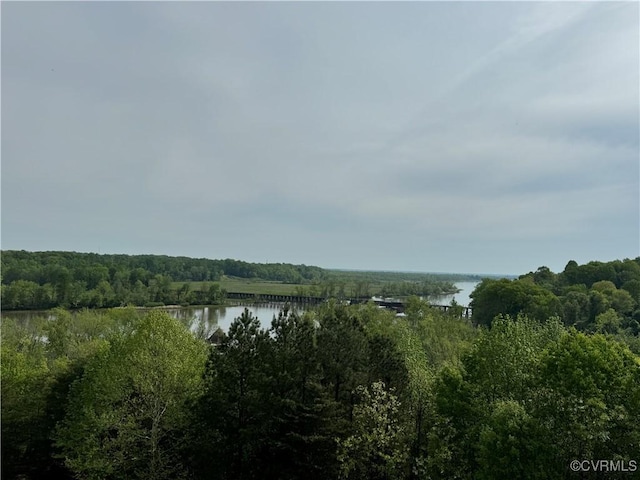 301 Beacon Ridge Dr Unit 607, Hopewell, VA 23860 - water view featuring a heavily wooded area