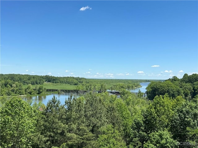301 Beacon Ridge Dr Unit 607, Hopewell, VA 23860 - water view featuring a heavily wooded area