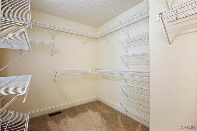 106 Kennon Pointe Ct, Colonial Heights, VA 23834 - walk in closet with carpet