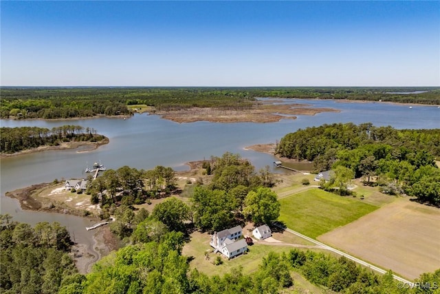 birds eye view of property featuring a water view and a forest view