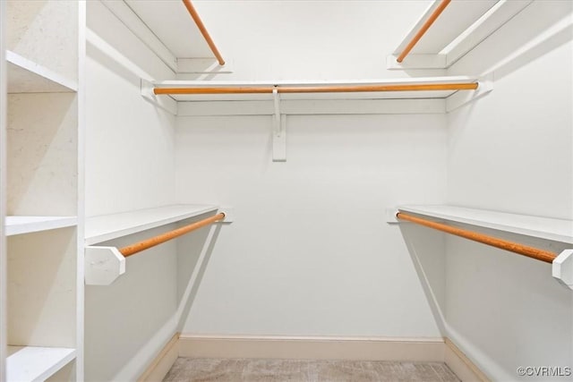 419 Dellbrooks Pl, Henrico, VA 23238 - view of walk in closet