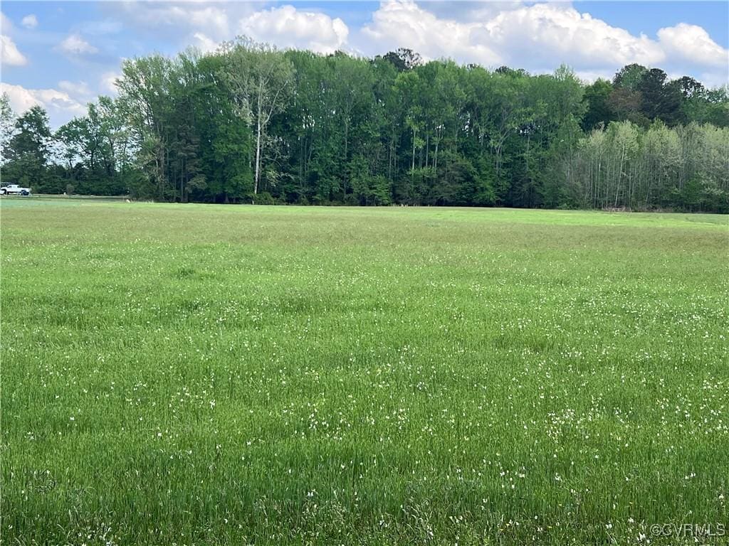 0 Walkerton Rd, Walkerton, VA 23177 - view of nature