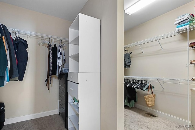 walk in closet featuring visible vents and carpet floors