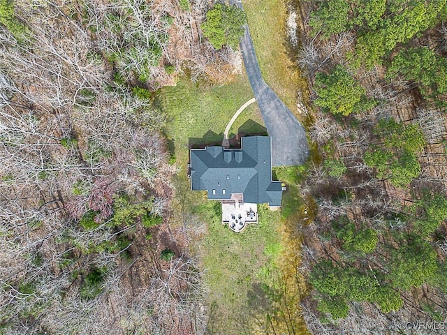 drone / aerial view