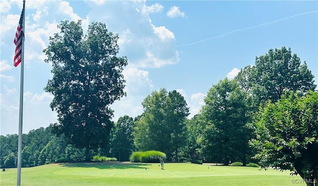13325 Shore Lake Turn, Chesterfield, VA 23838 - view of home's community with view of golf course, a lawn, and view of scattered trees